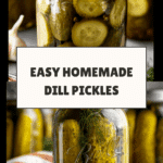 Easy Homemade Dill Pickles Recipe