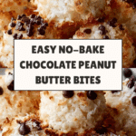 Easy No-Bake Moose Farts Recipe