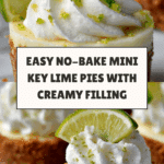 Mini Key Lime Pies (No Bake) Recipe