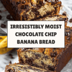 Super Moist Chocolate Chip Banana Bread Recipe