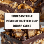 Peanut Butter Cup Dump Cake Recipe