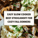 Slow Cooker Beef Stroganoff Recipe