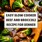 Slow Cooker Beef and Broccoli Recipe