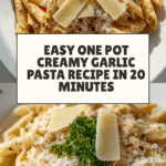 One Pot Creamy Garlic Pasta Recipe