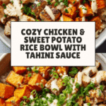 Chicken & Sweet Potato Rice Bowl Recipe